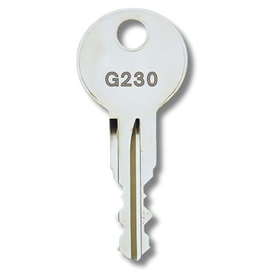 bayesen G121 Code Replacement Key for Thule, BMW, Audi, VW, Skoda, Ford, Volvo, MINI, Seat and Roof Carriers
