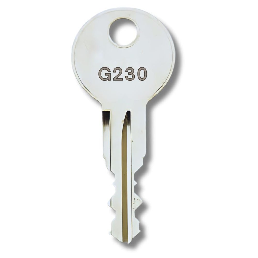 bayesen G121 Code Replacement Key for Thule, BMW, Audi, VW, Skoda, Ford, Volvo, MINI, Seat and Roof Carriers