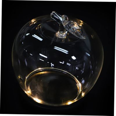 Glass Cloche with Glass and Wood Base for Collectibles