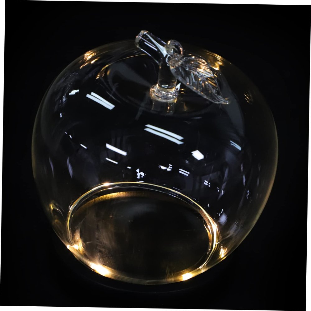 Glass Cloche with Glass and Wood Base for Collectibles