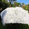 White Camouflage Net Sun Shade, 210D, 2.5 x 14 m view 2