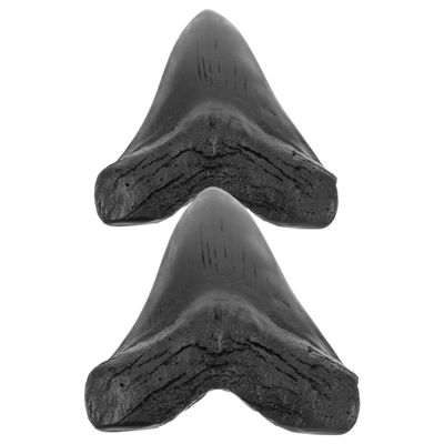 ABOOFAN Simulated Megalodon Teeth Collectible Models, 2 Pieces