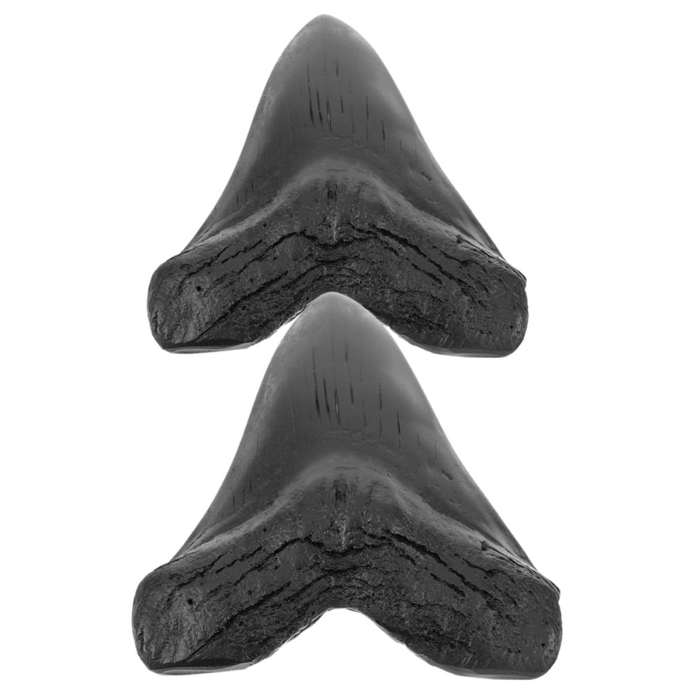 ABOOFAN Simulated Megalodon Teeth Collectible Models, 2 Pieces