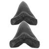 ABOOFAN Simulated Megalodon Teeth Collectible Models, 2 Pieces view 1
