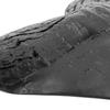 ABOOFAN Simulated Megalodon Teeth Collectible Models, 2 Pieces view 2