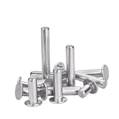 GUIPENG 304 Stainless Steel M5 M6 M8 Flat-Head Rivets, GB109, Solid Bevel Flush Head, M5 x 100 mm, 10 pcs
