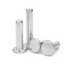 GUIPENG 304 Stainless Steel M5 M6 M8 Flat-Head Rivets, GB109, Solid Bevel Flush Head, M5 x 100 mm, 10 pcs view 2