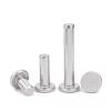 GUIPENG 304 Stainless Steel M5 M6 M8 Flat-Head Rivets, GB109, Solid Bevel Flush Head, M5 x 100 mm, 10 pcs view 3