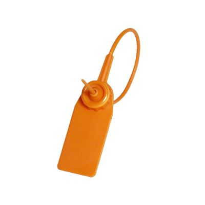 100 Clothing Brand Tags, Plastic Security Seal Hang Tags, 18 cm