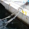 Haiki 316 Stainless Steel Boat Mooring Spring Damper view 4