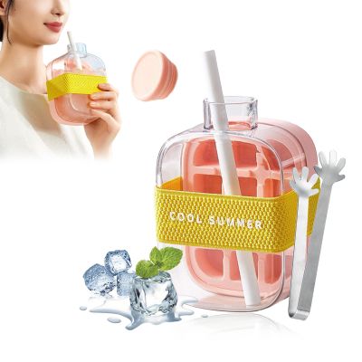 2-in-1 Ice Cube & Water Bottle with Straw and Clip, Pink, 500 mL