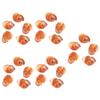 OUNONA 5-Piece Escargot Shell Set, Natural Baking and Serving Shells, 5 Pieces × 5 view 1