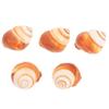 OUNONA 5-Piece Escargot Shell Set, Natural Baking and Serving Shells, 5 Pieces × 5 view 4