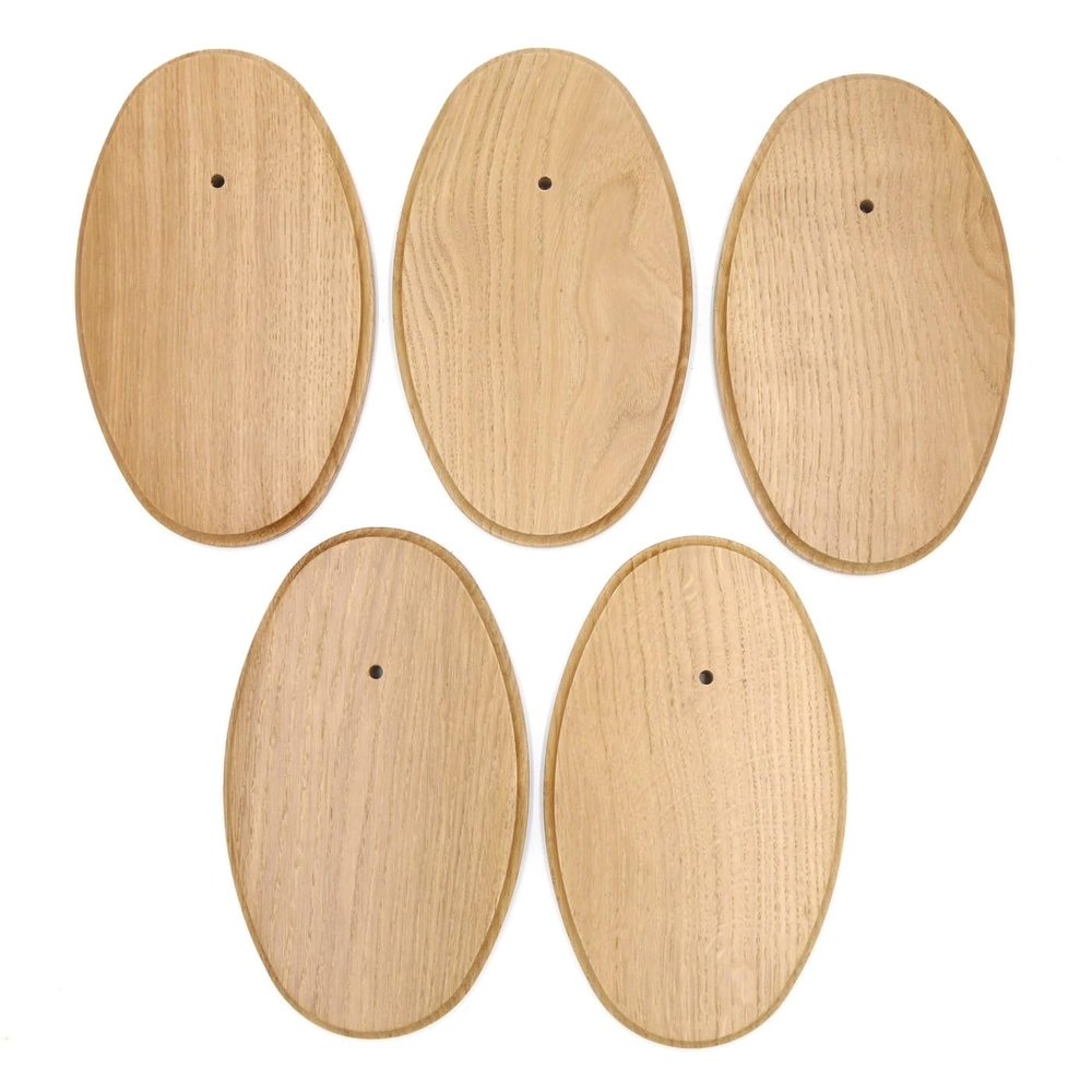 5 Oval Trophy Plaques for Roe Deer, Oak, Light, 21 x 12 cm, Without Mounting Clip