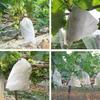 YTBHSHXZ 100-Piece Fruit Protection Mesh Bags, 18 x 20 cm view 2