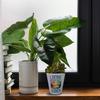 speecheese Love Your Life Watercolor Planter view 3