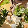 speecheese Love Your Life Watercolor Planter view 4