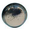ApuaVireo&Co Soil Analysis Sieve, Garden Sieve, Metal Sieve, Gardening Tool, Riddl, Diameter: 25 cm (0.25 mm mesh) view 1