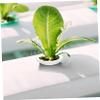 UKCOCO 50-Pack Hydroponic Net Pots with Slotted Design and Wide Rim view 2