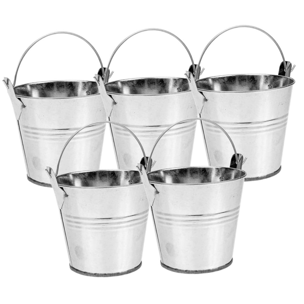 5-Piece Set of Vintage Silver Iron Plant Pots with Handles