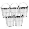 5-Piece Set of Vintage Silver Iron Plant Pots with Handles view 1