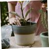 DECOMELODY Green Plant Supports, Lightweight and Durable Iron, 10-Pack, Sturdy Flower Support Stakes for Potted Plants, Garden and Indoor Use view 2