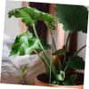 DECOMELODY Green Plant Supports, Lightweight and Durable Iron, 10-Pack, Sturdy Flower Support Stakes for Potted Plants, Garden and Indoor Use view 3