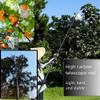 Lightweight Telescoping Pole for Fruit Picking, Adjustable and Sturdy, 3–10 m (3.0 m/9.8 ft) view 3