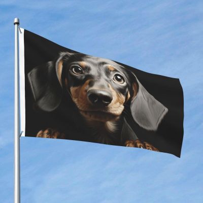 Flag, 2 x 3 ft, Double-Sided Outdoor Flag with 2 Grommets, Dachshund Design, Polyester, All-Season Yard Decoration