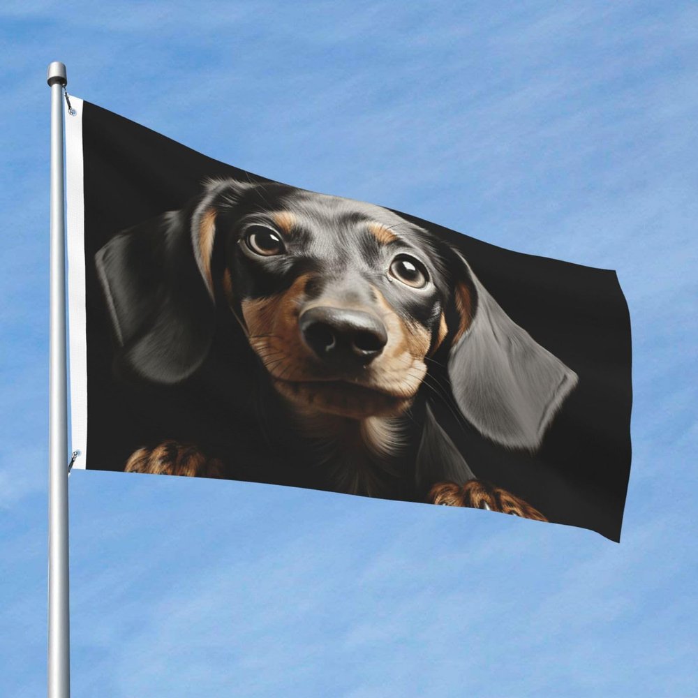 Flag, 2 x 3 ft, Double-Sided Outdoor Flag with 2 Grommets, Dachshund Design, Polyester, All-Season Yard Decoration