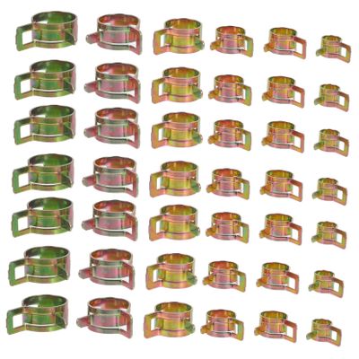 PRETYZOOM 80-Piece Hose Clamp Set