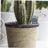 JOINPAYA 12-Piece Stainless Steel Fertilizer Baskets for Bonsai and Orchids, Silver view 4