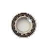 PEGGMZYX 1-Piece Bearing F-234975.10.SKL-H79, 31.7 × 73 × 29/24, for Gearbox Bearing Factory view 2
