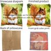 ORLUMY DIY Latch Hook Rug Cushion Cover Kit, Dragonfly, 43 x 43 cm (17 x 17 in) view 2