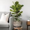 SQOWL 10-Inch Ceramic Planter with Drainage Hole and Saucer view 2