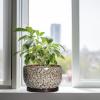 SQOWL 10-Inch Ceramic Planter with Drainage Hole and Saucer view 4