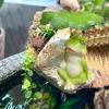 FUFRE Resin Frog Garden Decor with Umbrella view 2