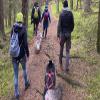 mydays Gift Voucher: Husky Trekking in Neumarkt in der Oberpfalz view 2