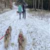 mydays Gift Voucher: Husky Trekking in Neumarkt in der Oberpfalz view 3