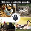 Reusable Chicken Saddle Feather Protector, Black view 4