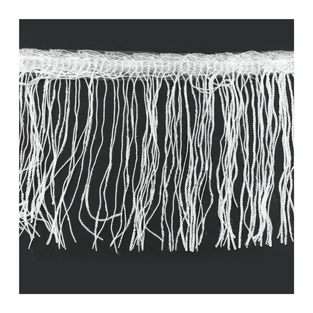 WENH 110-Yard 20 cm Sequin Tassel Fringe Trim for Dance Dresses, Transparent, 2 Yards