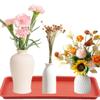 SUIOPPYUW 5-Pack ABS Plant Saucers for Pots view 3