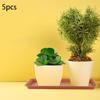 SUIOPPYUW 5-Pack ABS Plant Saucers for Pots view 4