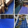 HGOuhK Plastic Pallets, Non-Slip, Waterproof, Wear-Resistant, 30 x 30 x 5 cm view 4