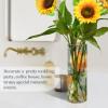 Tangerine Cylinder Flower Vase, 30 x 9 cm view 4