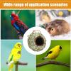 Natural Hanging Bird House for Outdoor Areas view 4