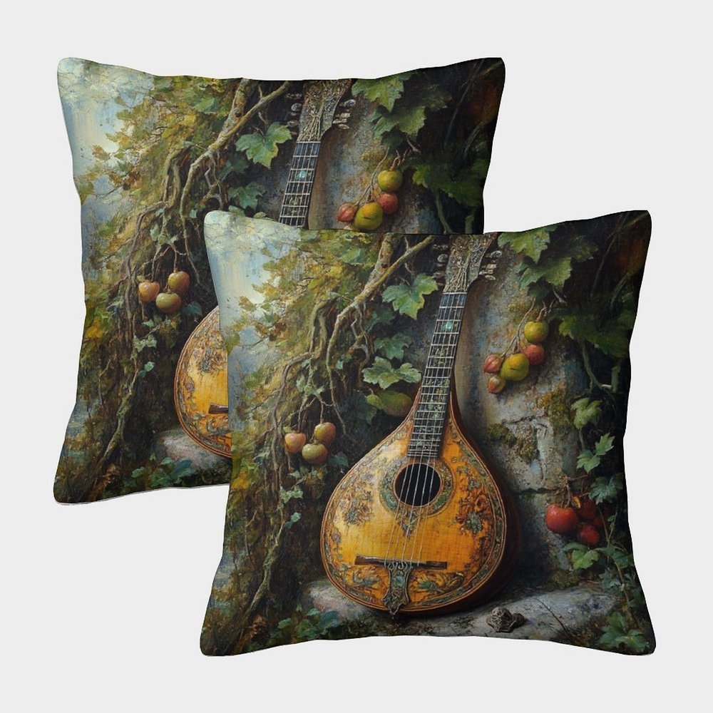 kaiyun 2-Pack 16 x 16 in Square Decorative Pillow Covers, Magical Pipa Design