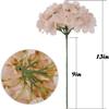 Artificial Flower Heads, Mini Hydrangea Heads, 54 Heads, Red with Stems (Black, with Stems) view 3