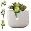 Frog with Wine Glasses, Hanging Flower Pot Decor view 1
