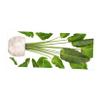 Green Potted Plant Wall Sticker for Children's Room view 1